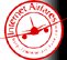 Internet Airfares Logo